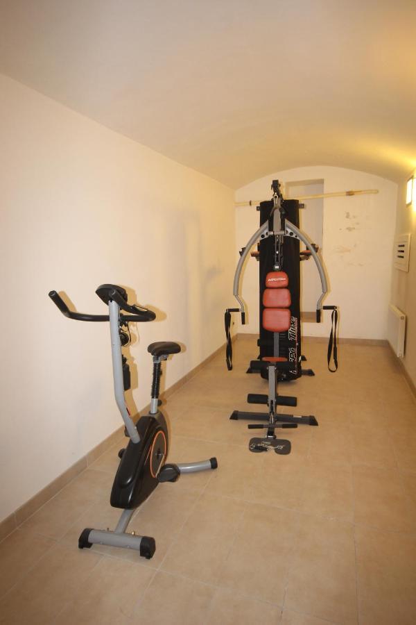Apartment Vikroria - Halkova 5 Prague Extérieur photo